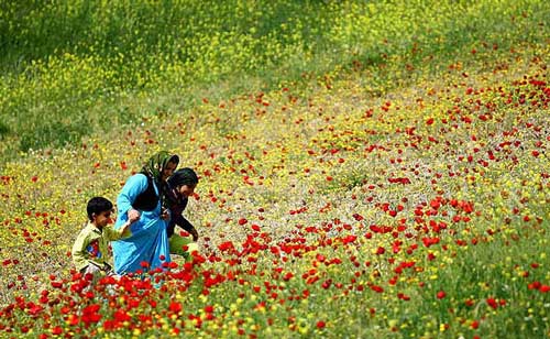 طبیعت زیبای استان کردستان در فصل بهار