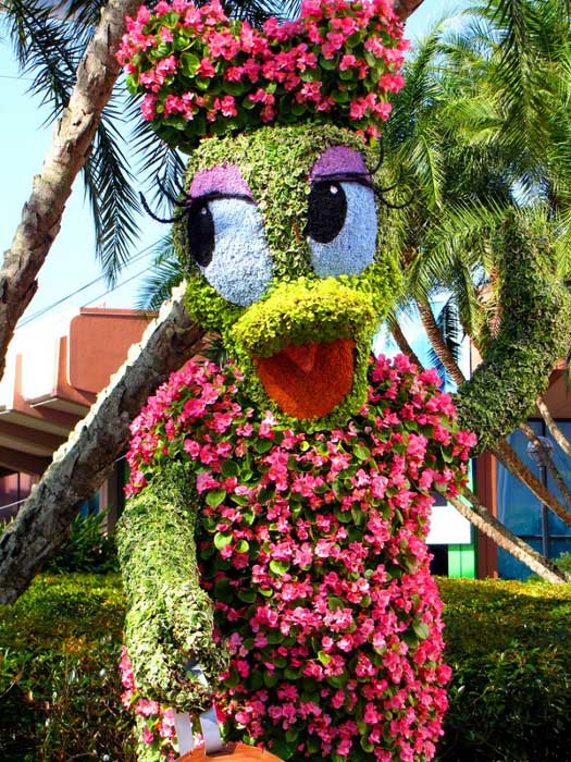 جشنواره باور نکردنی گل های زیبا در فلوریدا 